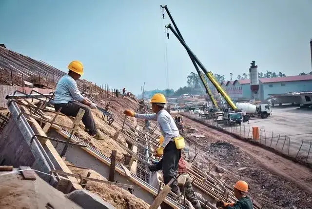 内容图片