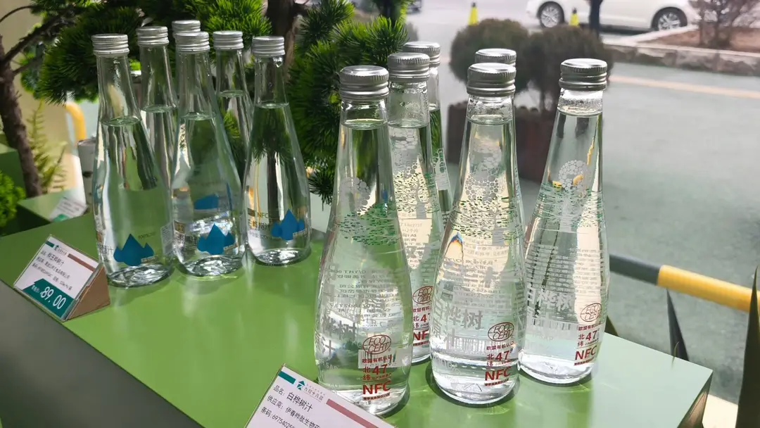 采集白桦树汁到底伤不伤树？听听专家怎么说