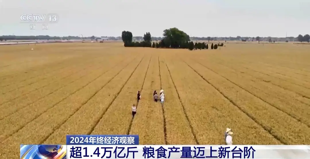 内容图片